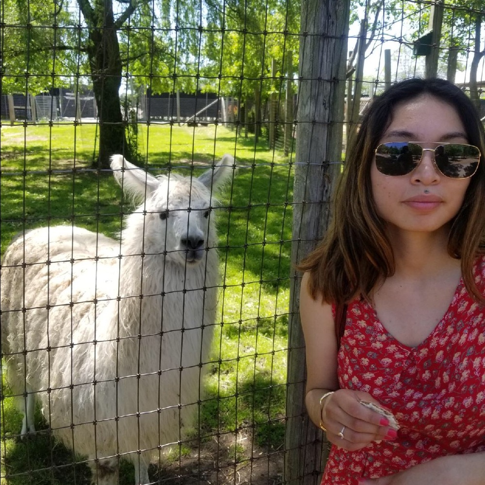 Meet your Posher, Jessuly